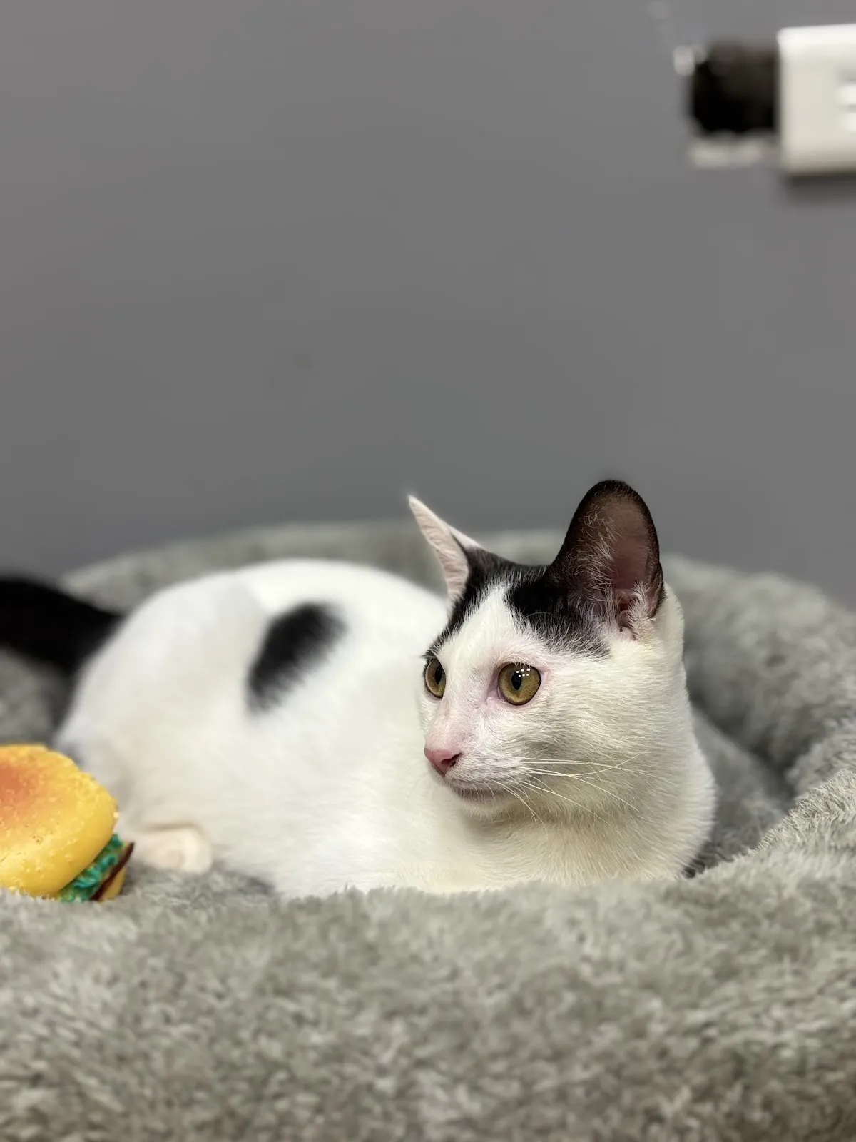 醬心萌孩旅行館