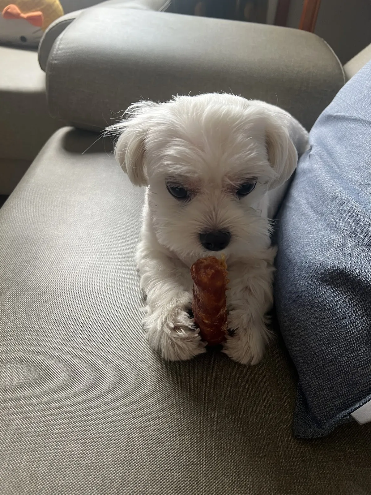 醬心萌孩旅行館