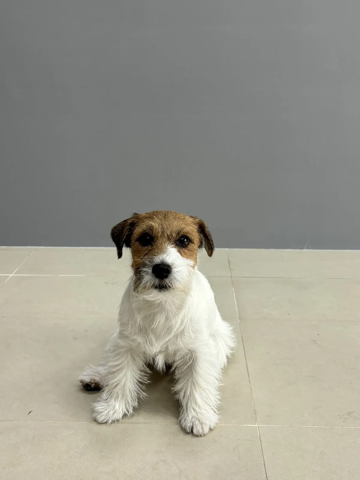 醬心萌孩旅行館