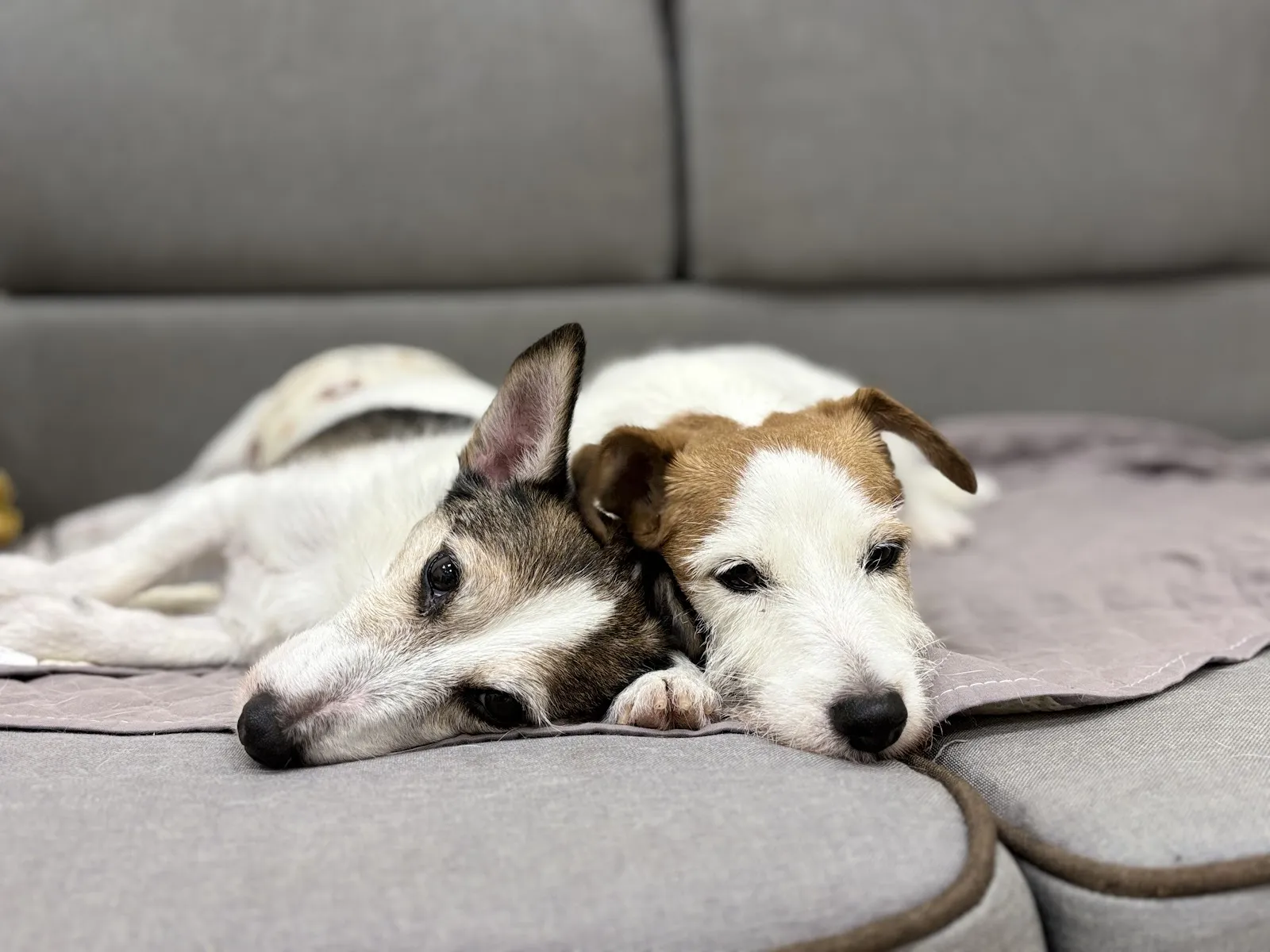 醬心萌孩旅行館