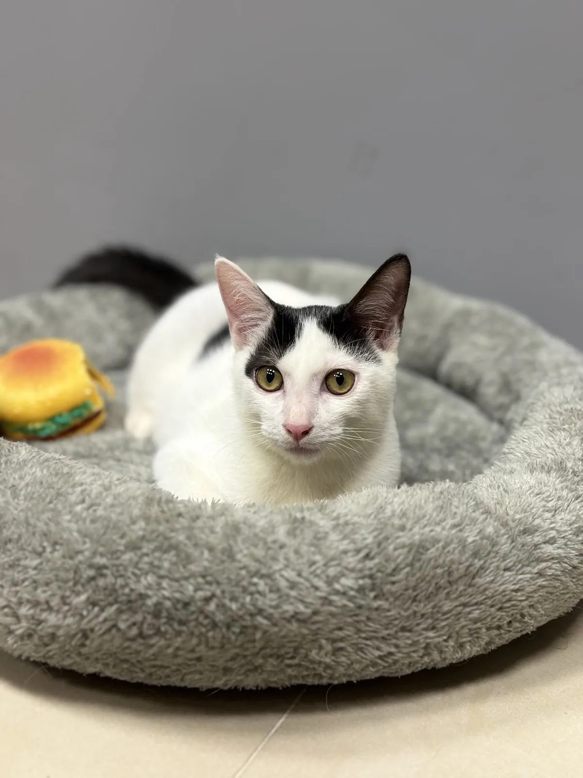 醬心萌孩旅行館