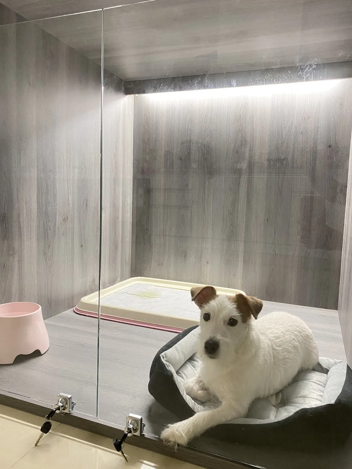 醬心萌孩旅行館