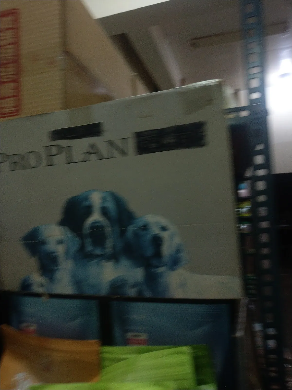 永寅狗貓魚飛爬館