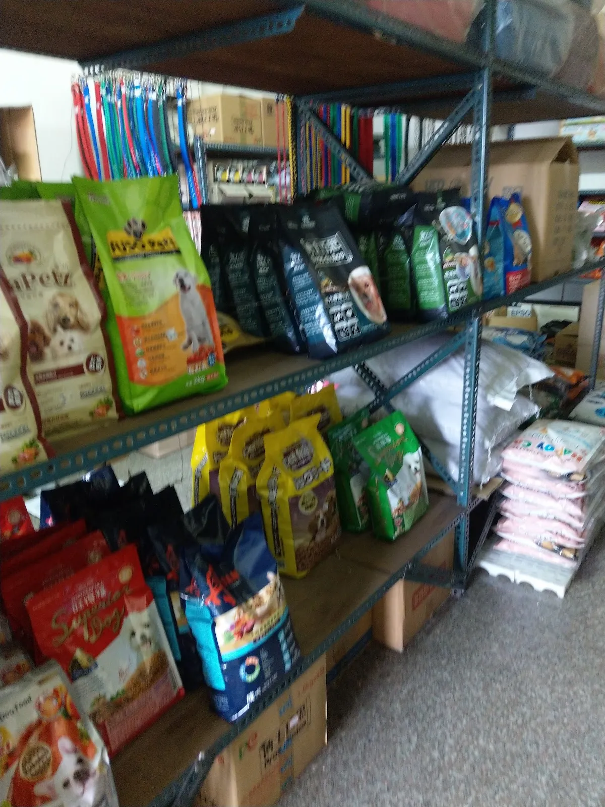 永寅狗貓魚飛爬館