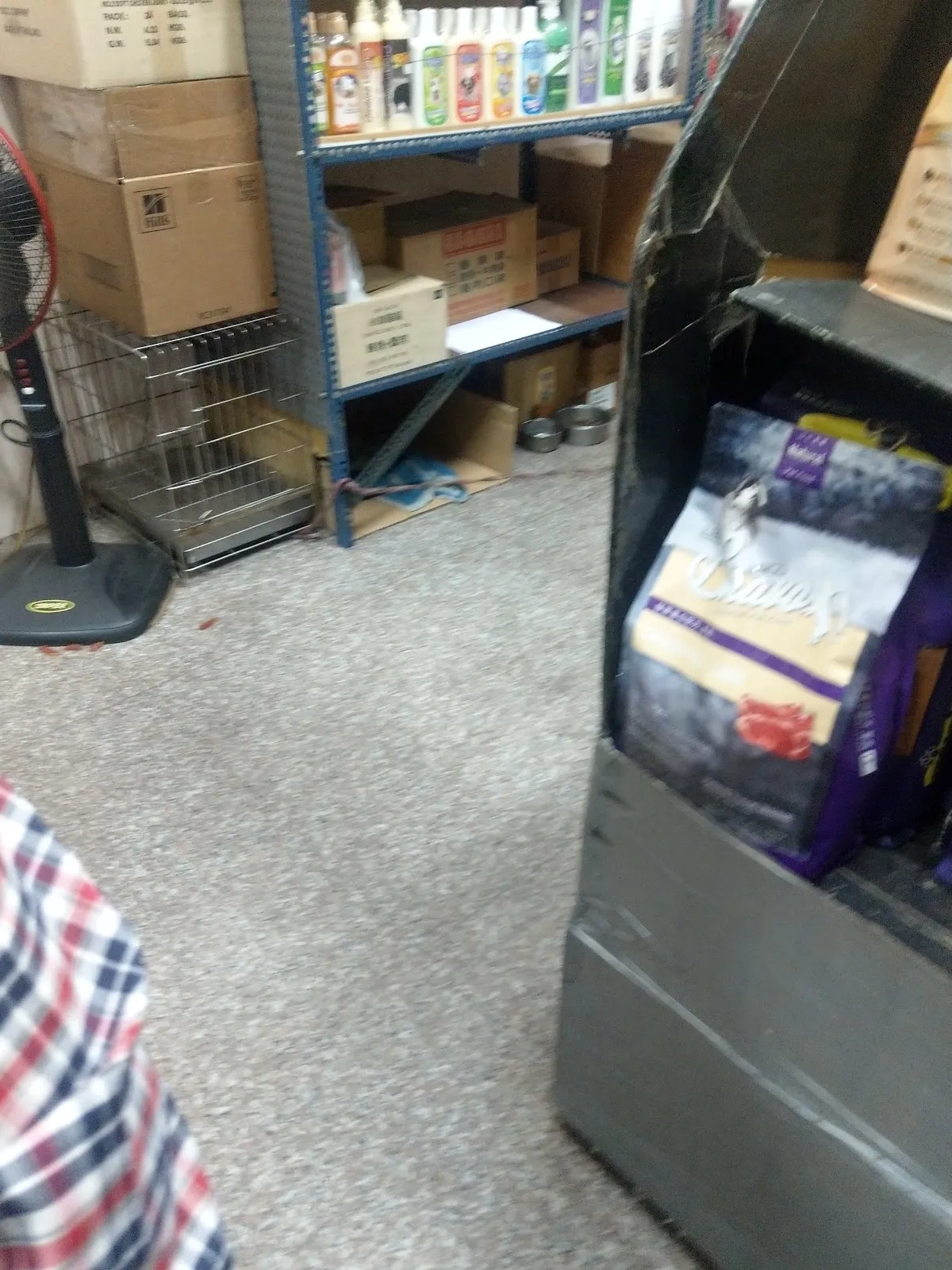 永寅狗貓魚飛爬館