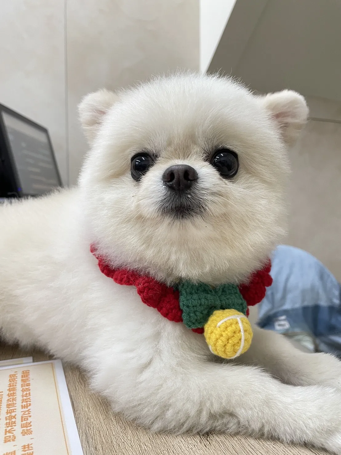 奧迪奧寵物生活旅宿