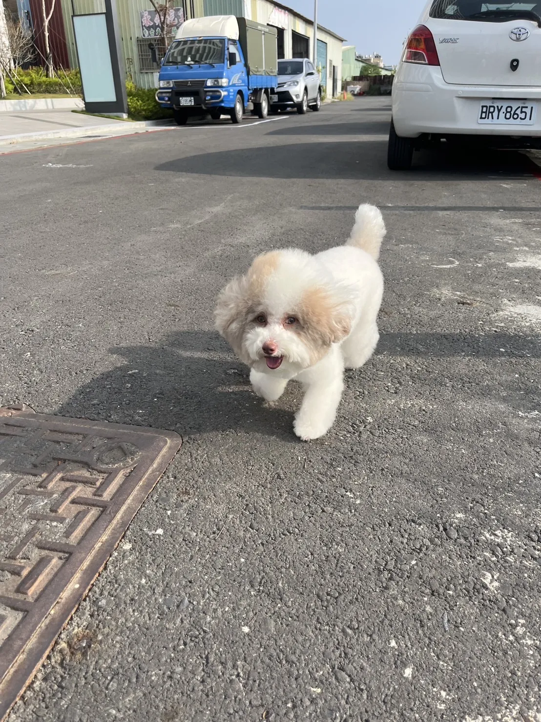 懶洋洋寵物沙龍