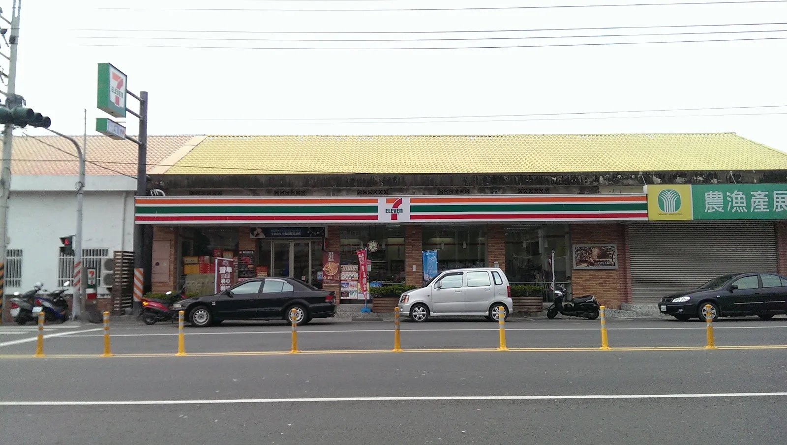 台南七股高山犬