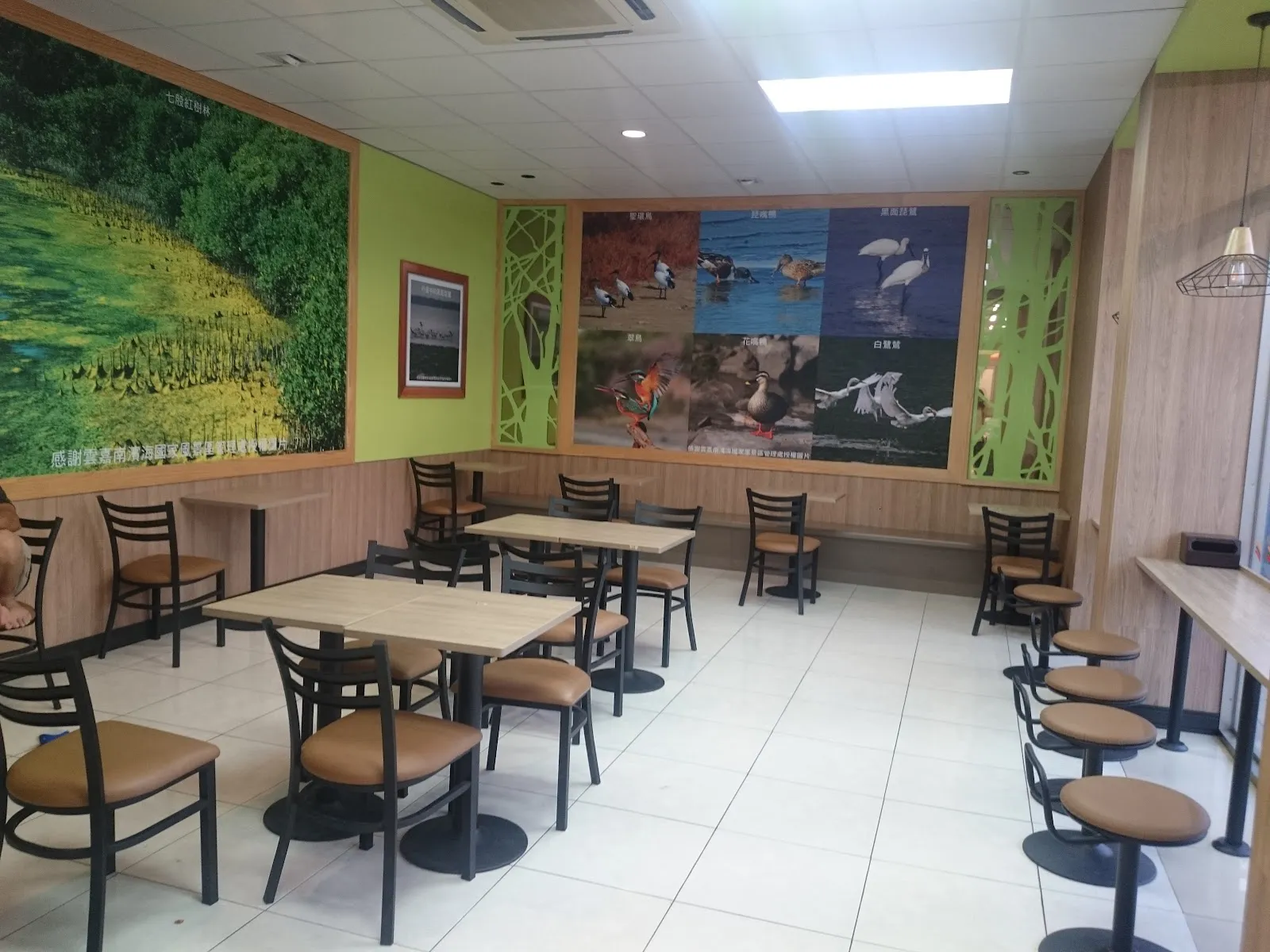 台南七股高山犬