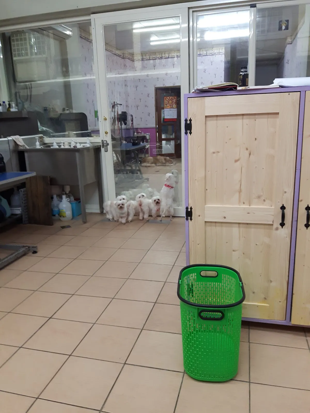 美娜寵物生活館