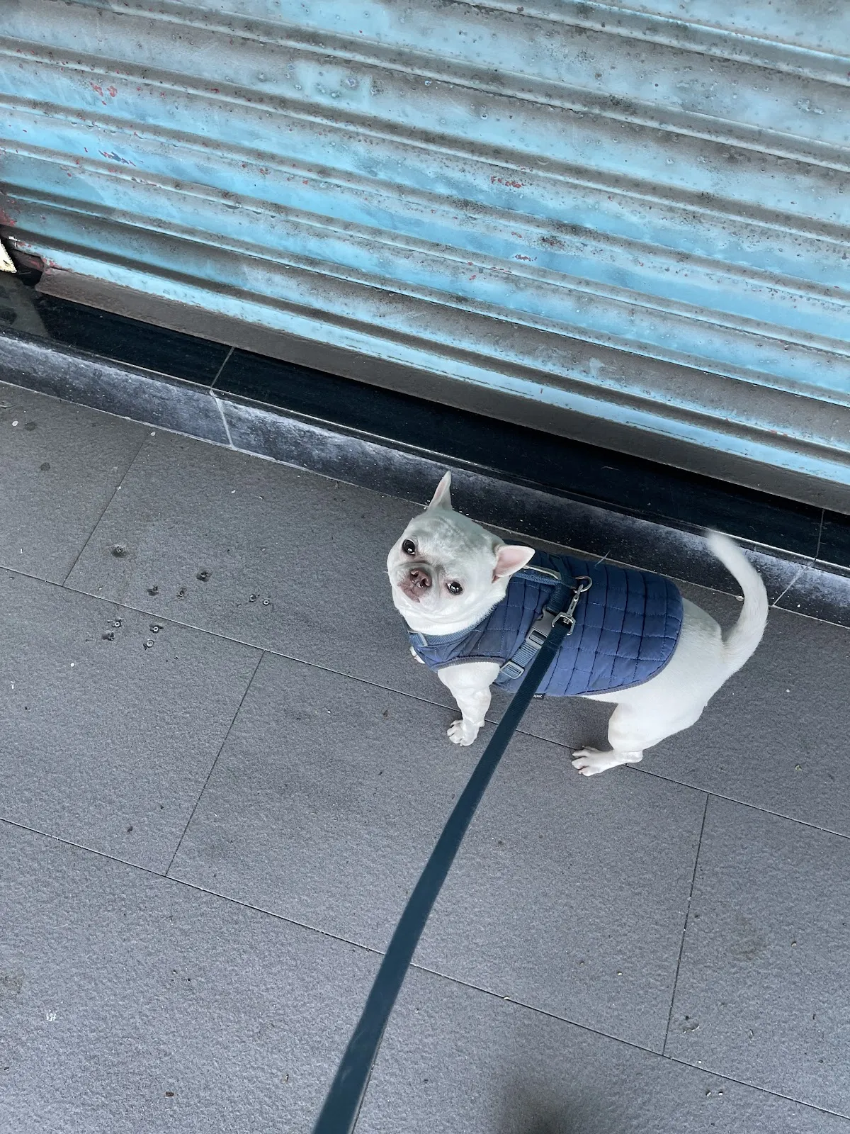 北鼻精品生活館