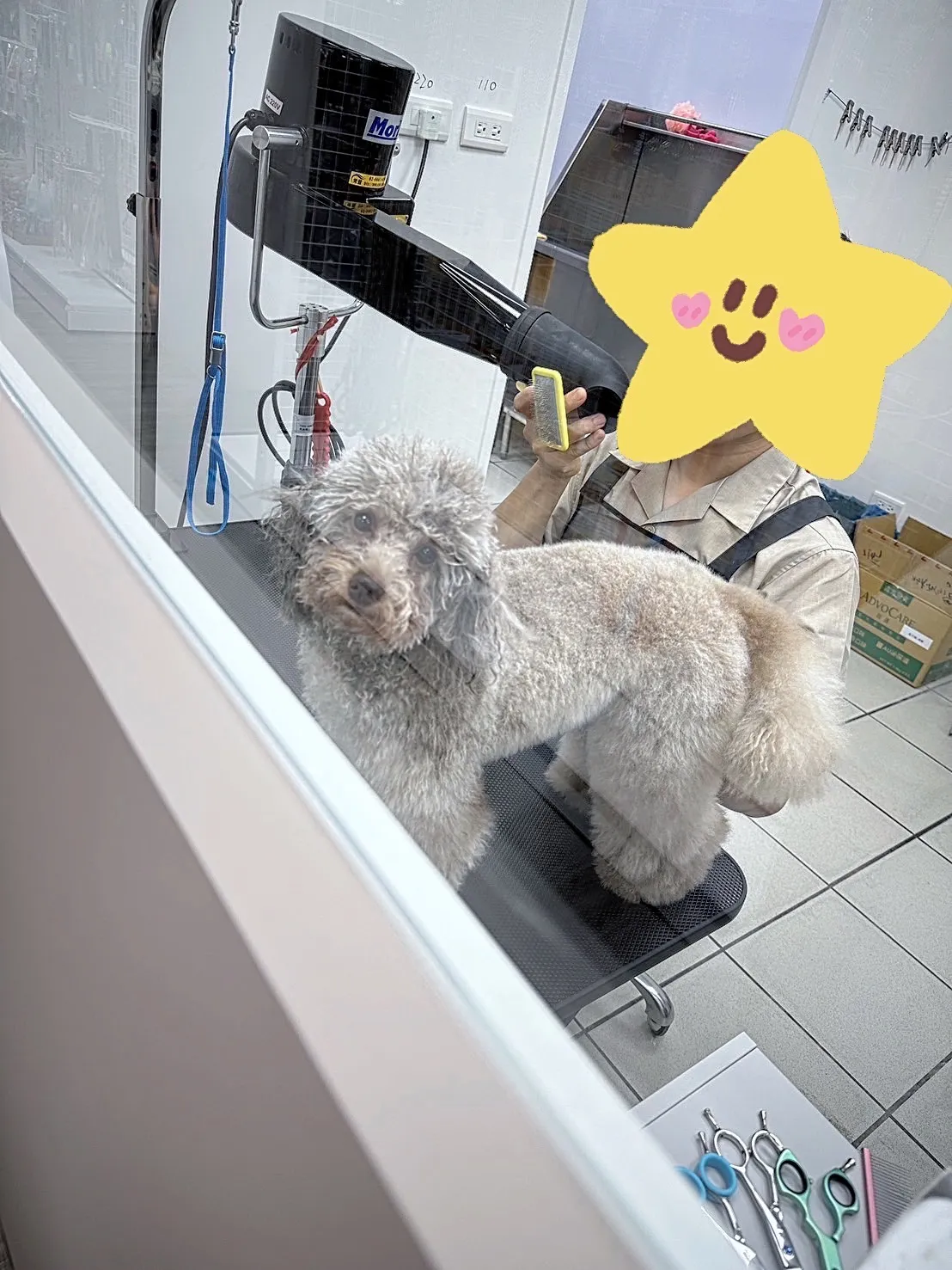 星鑽寵物動物樂活館