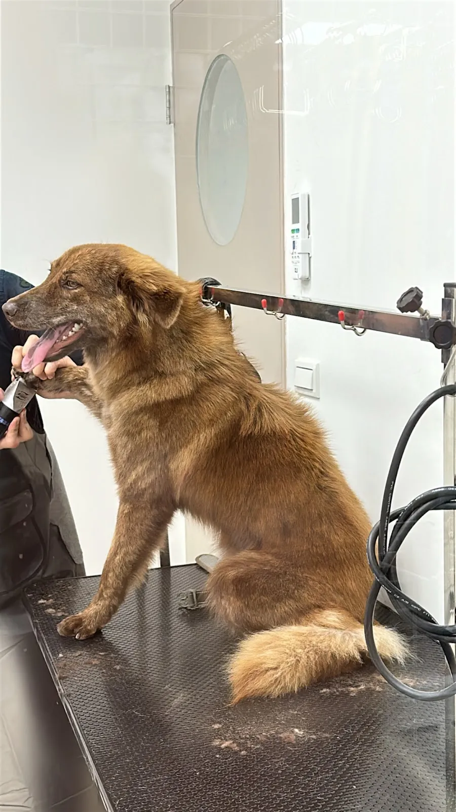 星鑽寵物動物樂活館