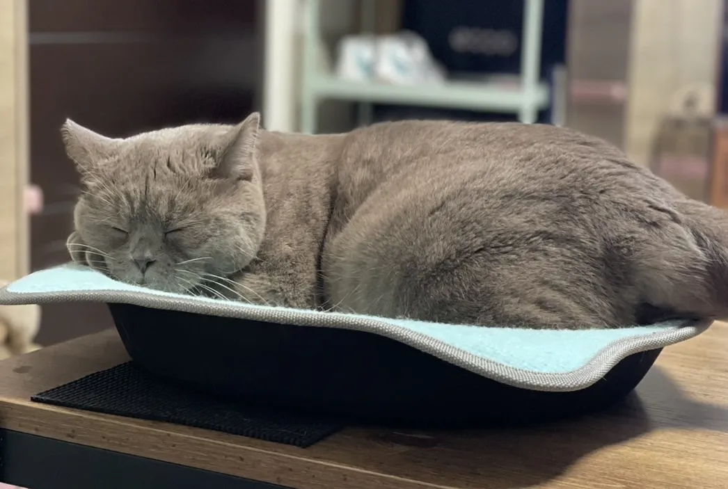 星鑽寵物動物樂活館