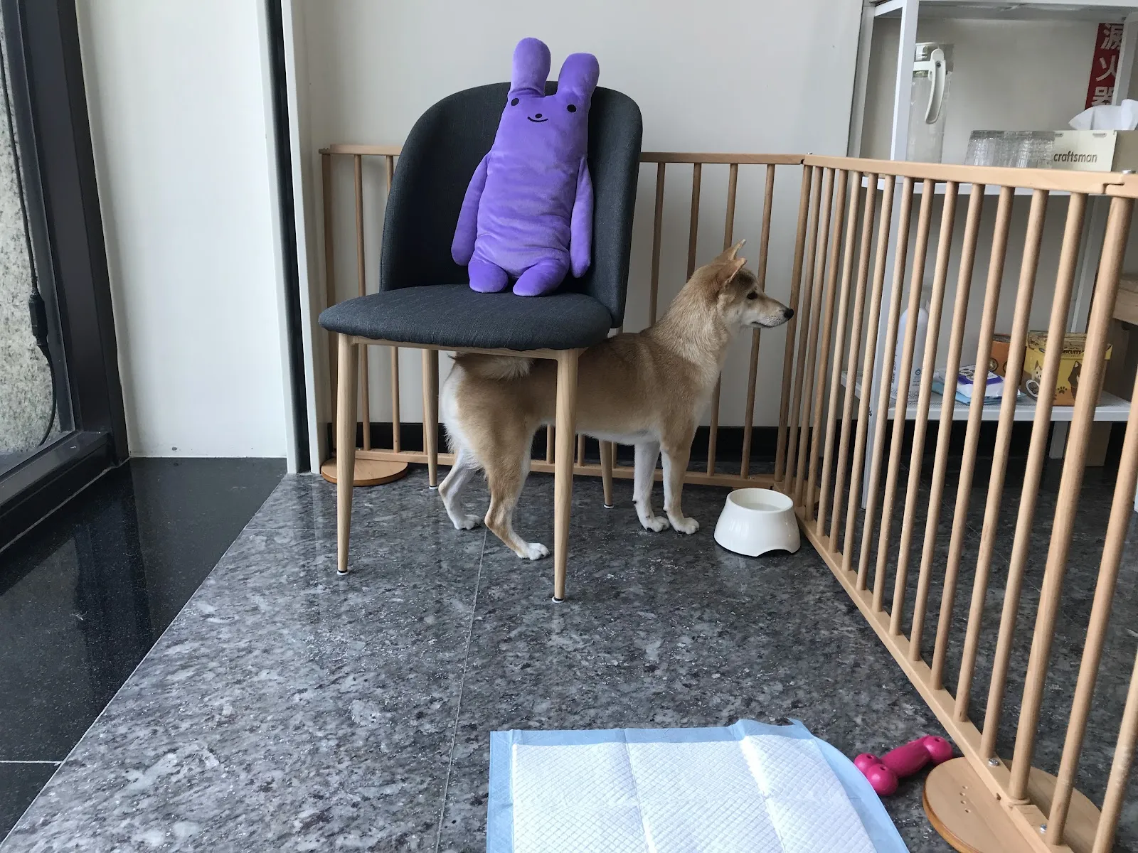 喜樂狗日子有限公司