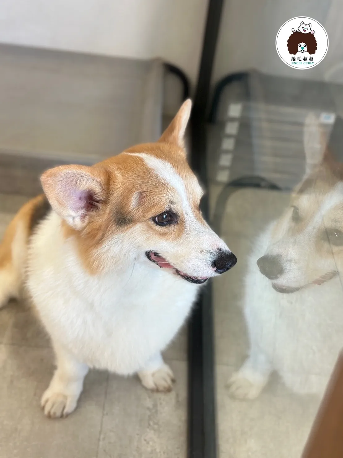 捲毛叔叔寵物美容