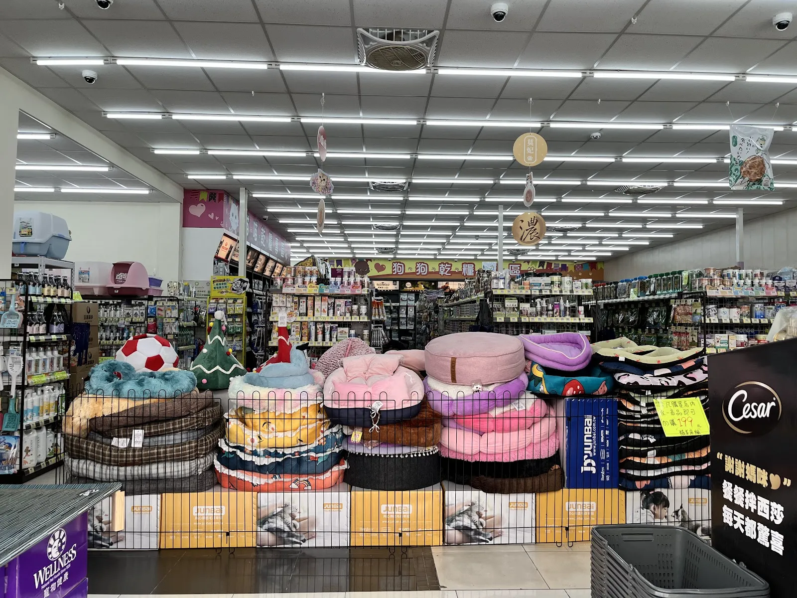 貓窩寵物用品店