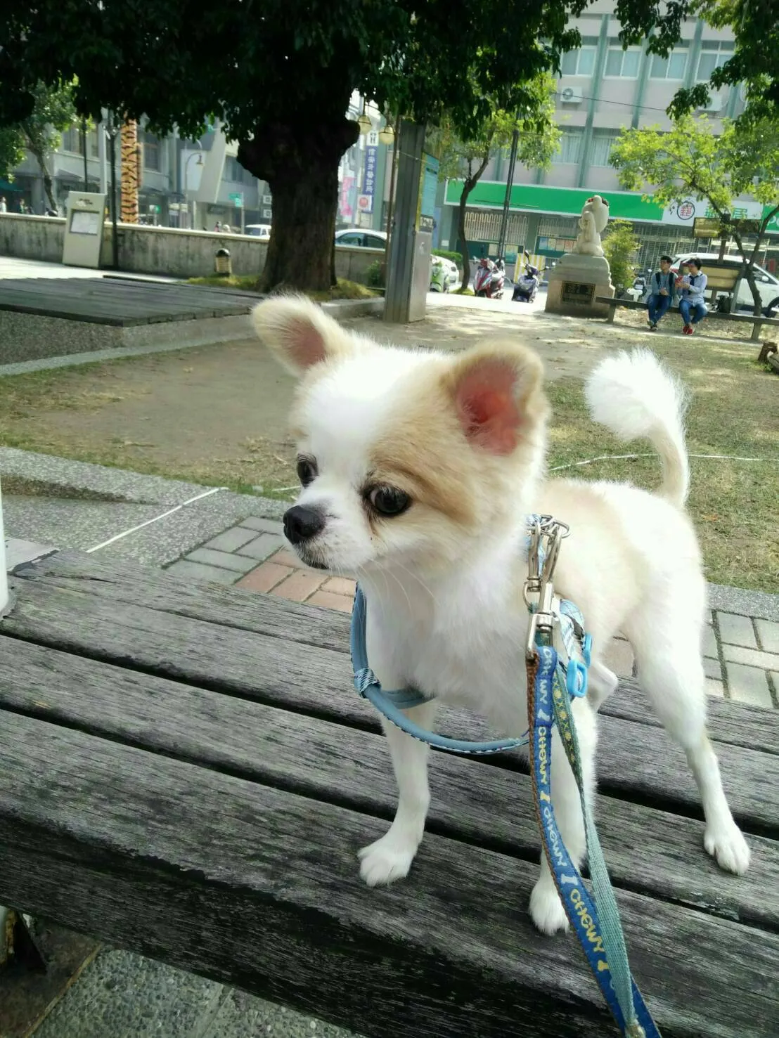 漫步林森寵物生活館