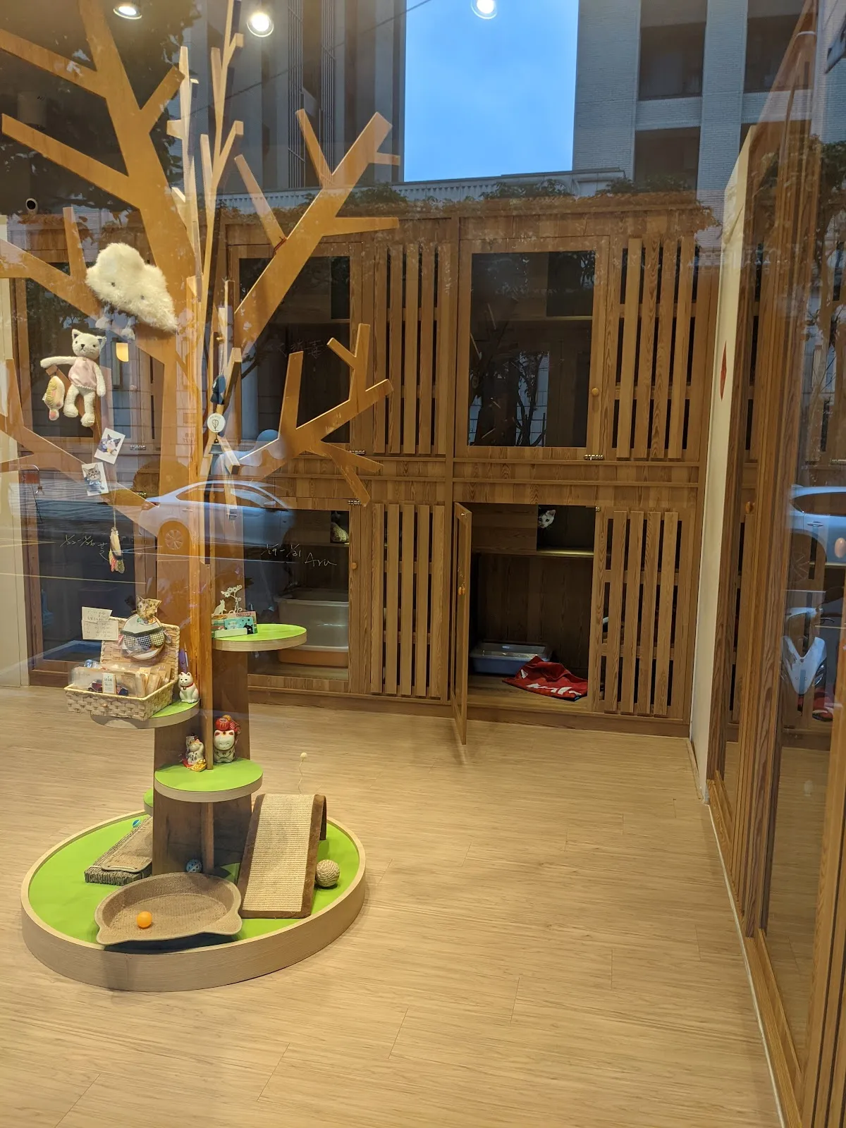 聽貓說貓咪旅館