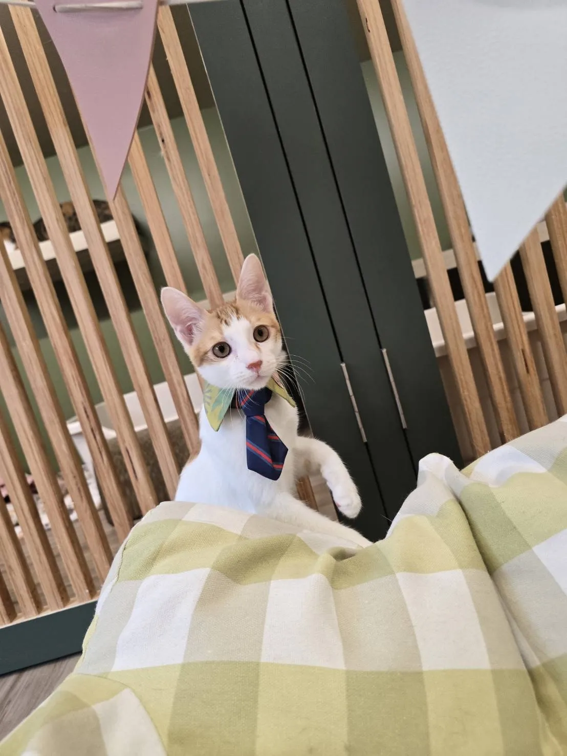 躲貓貓謐境本館