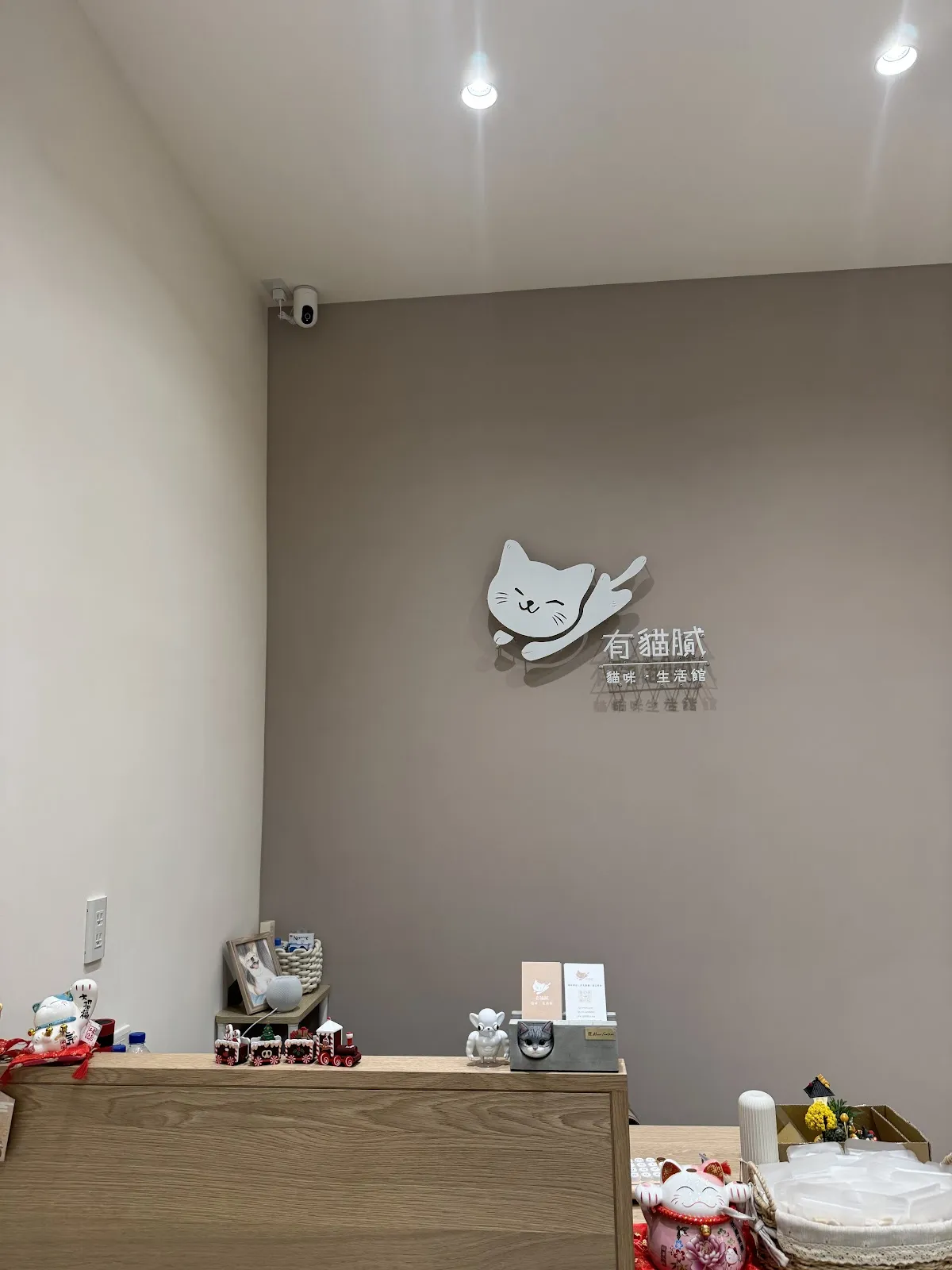 有貓膩貓咪生活館