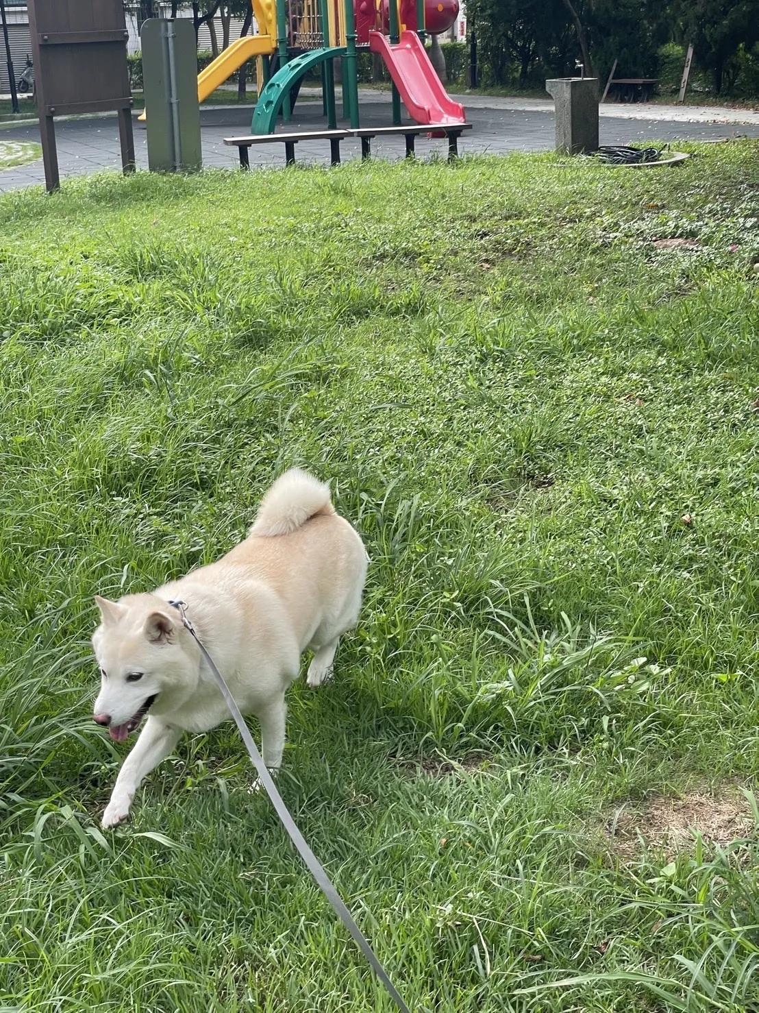 伏特窩寵物旅館