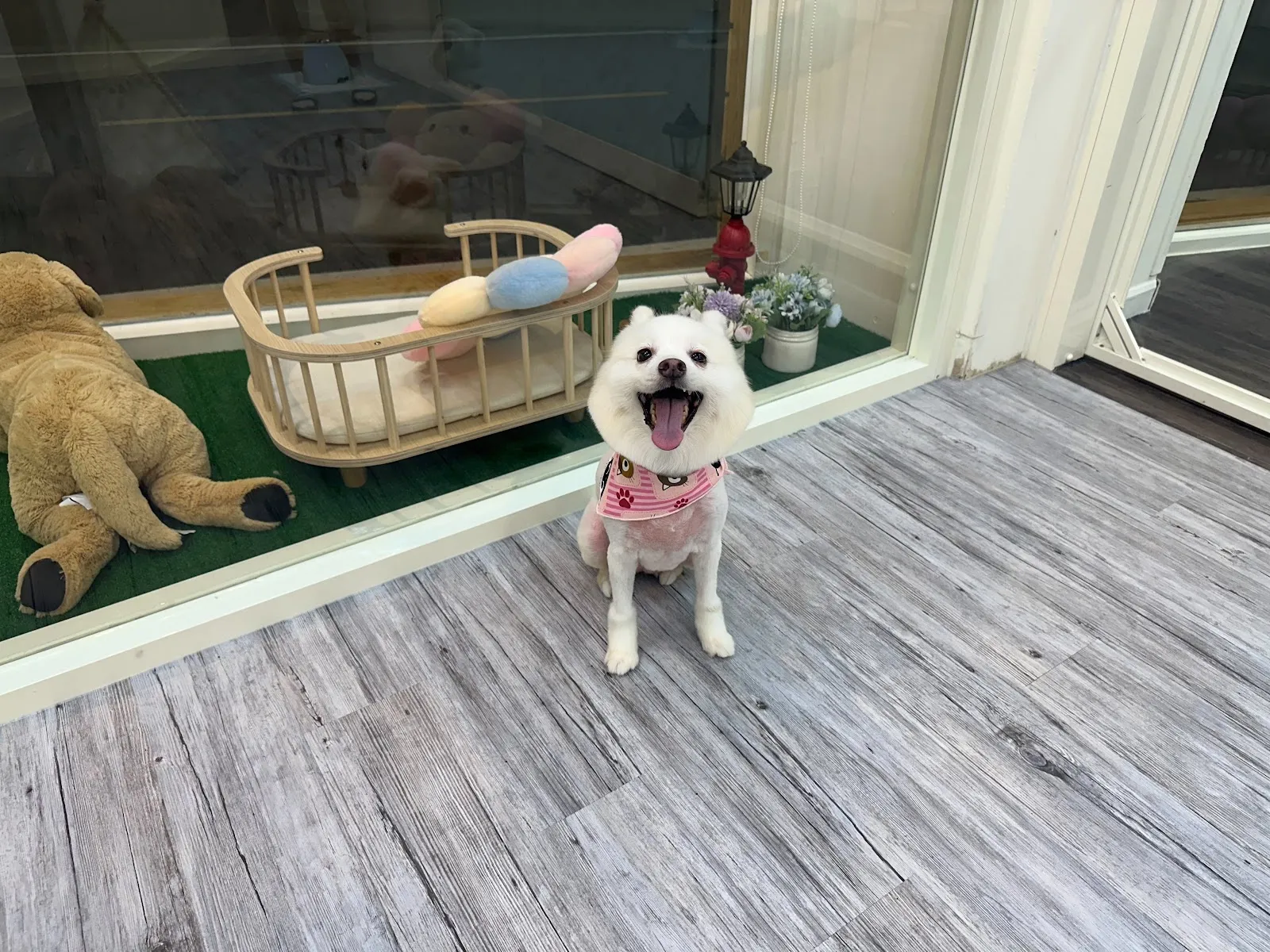 羅弟家寵物生活館