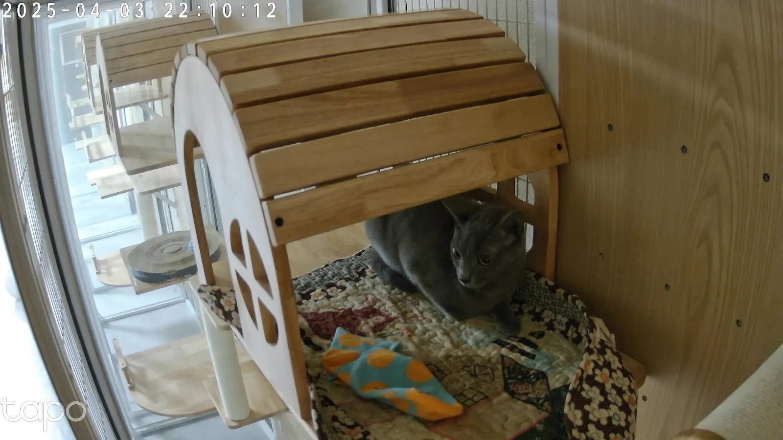 自在沐寵物美容工作室