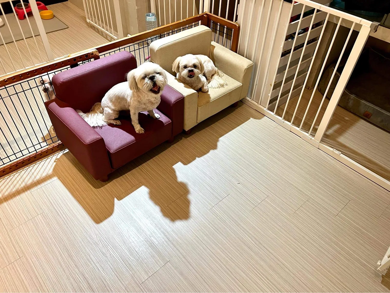 搖尾巴寵物美容館