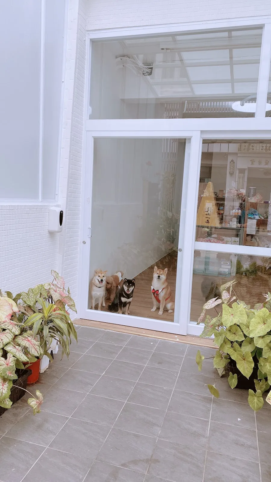 羊咩咩寵物生活館