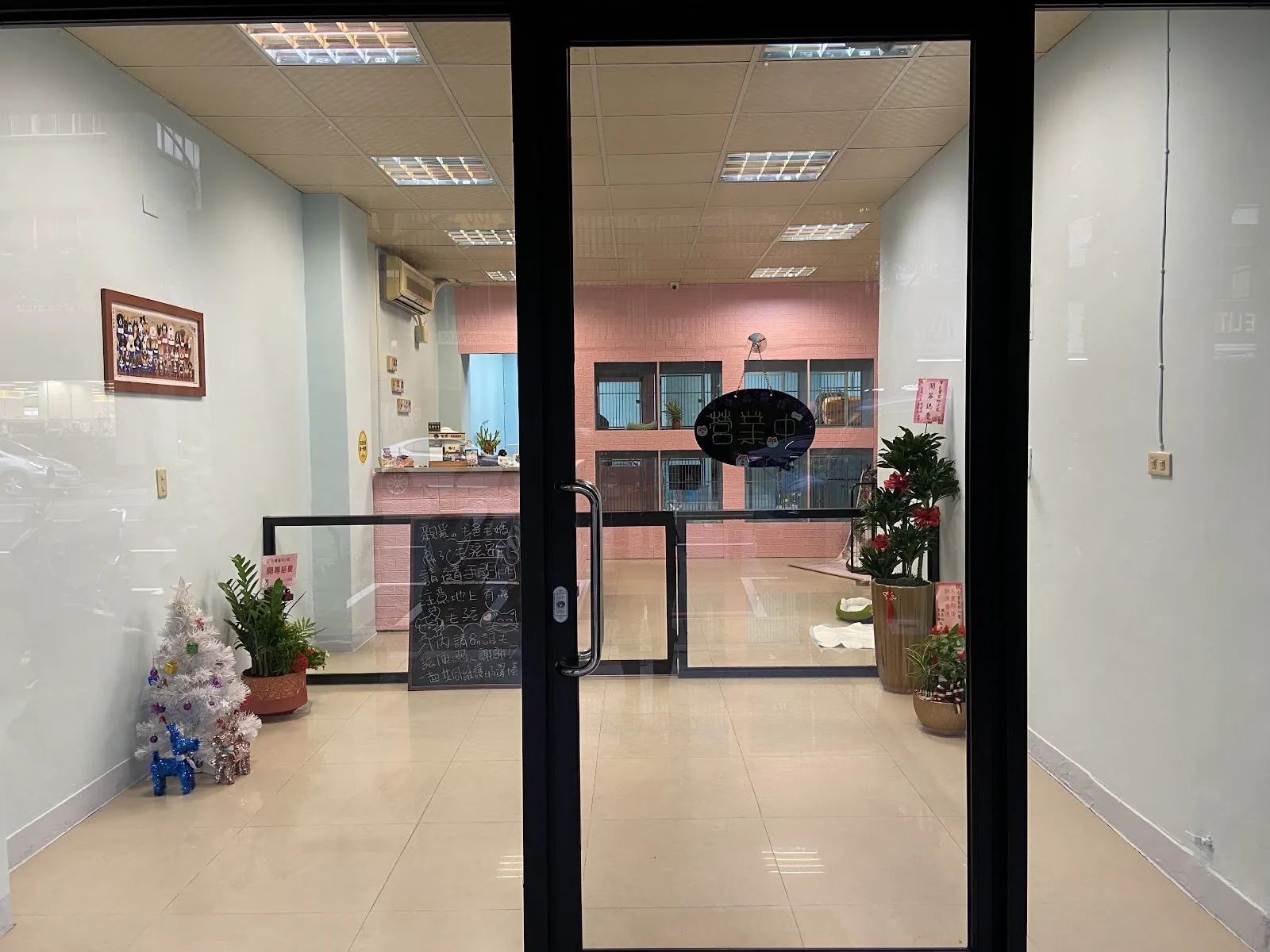 噹寶的家寵物店