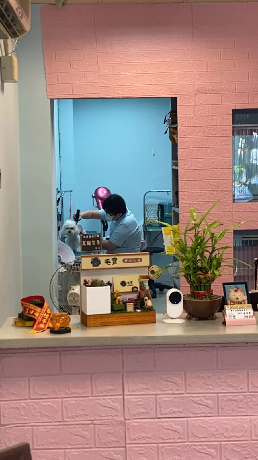 噹寶的家寵物店