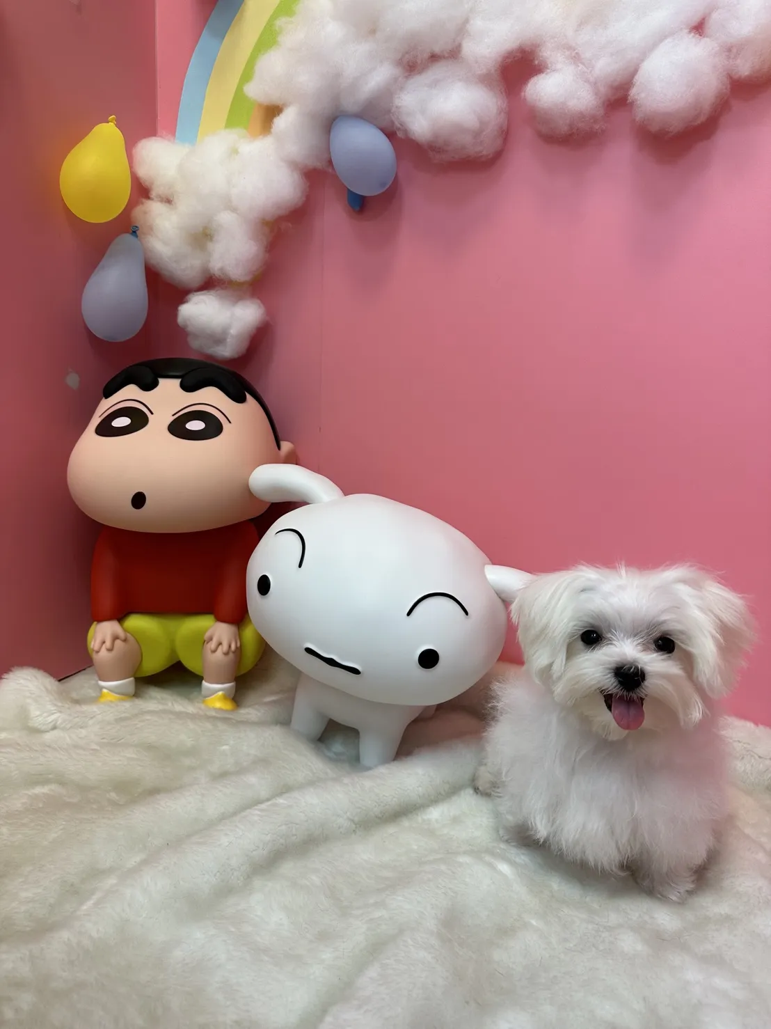 奈斯澎澎寵物沙龍