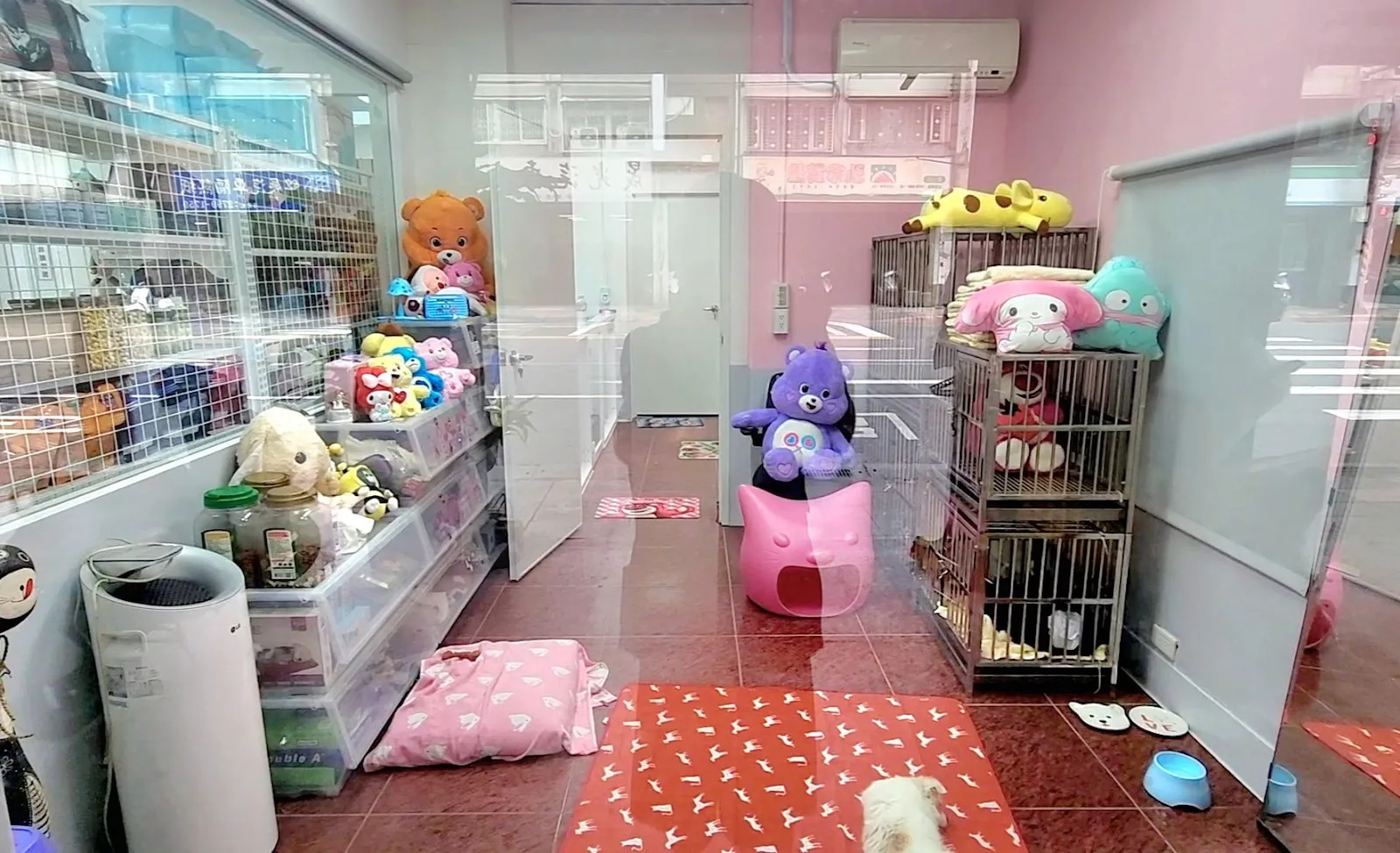 雅雅愛犬專業用品店