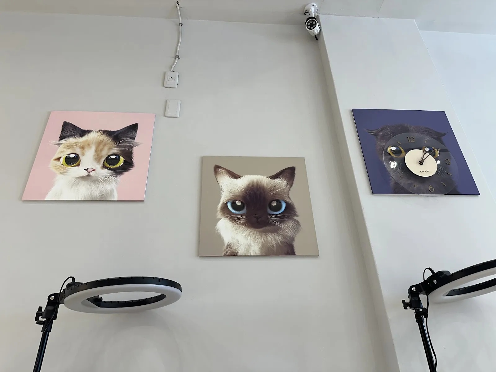 萬達事業股份有限公司竹南分公司