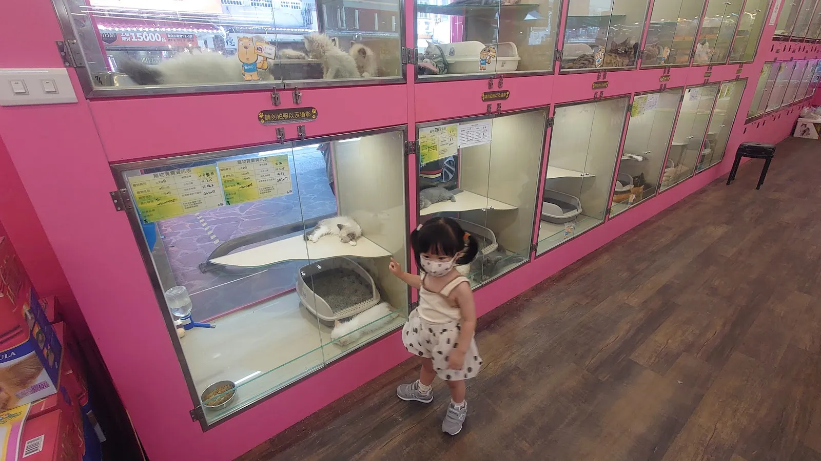 宜吉寵物用品店