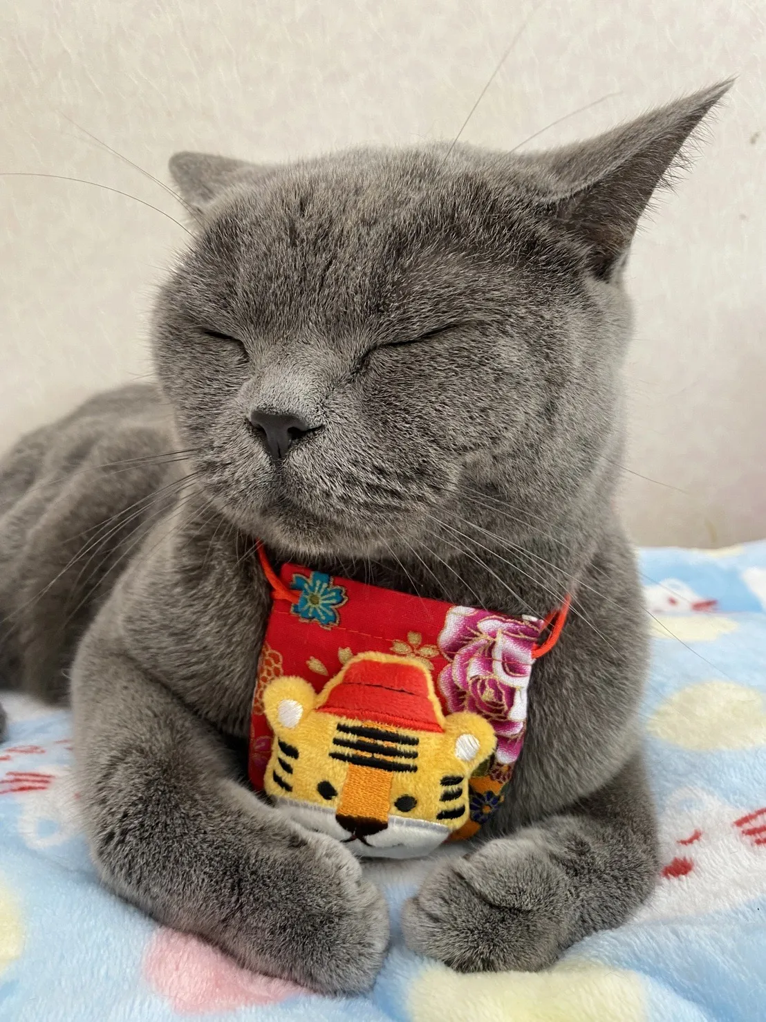 狗時尚寵物沙龍會館