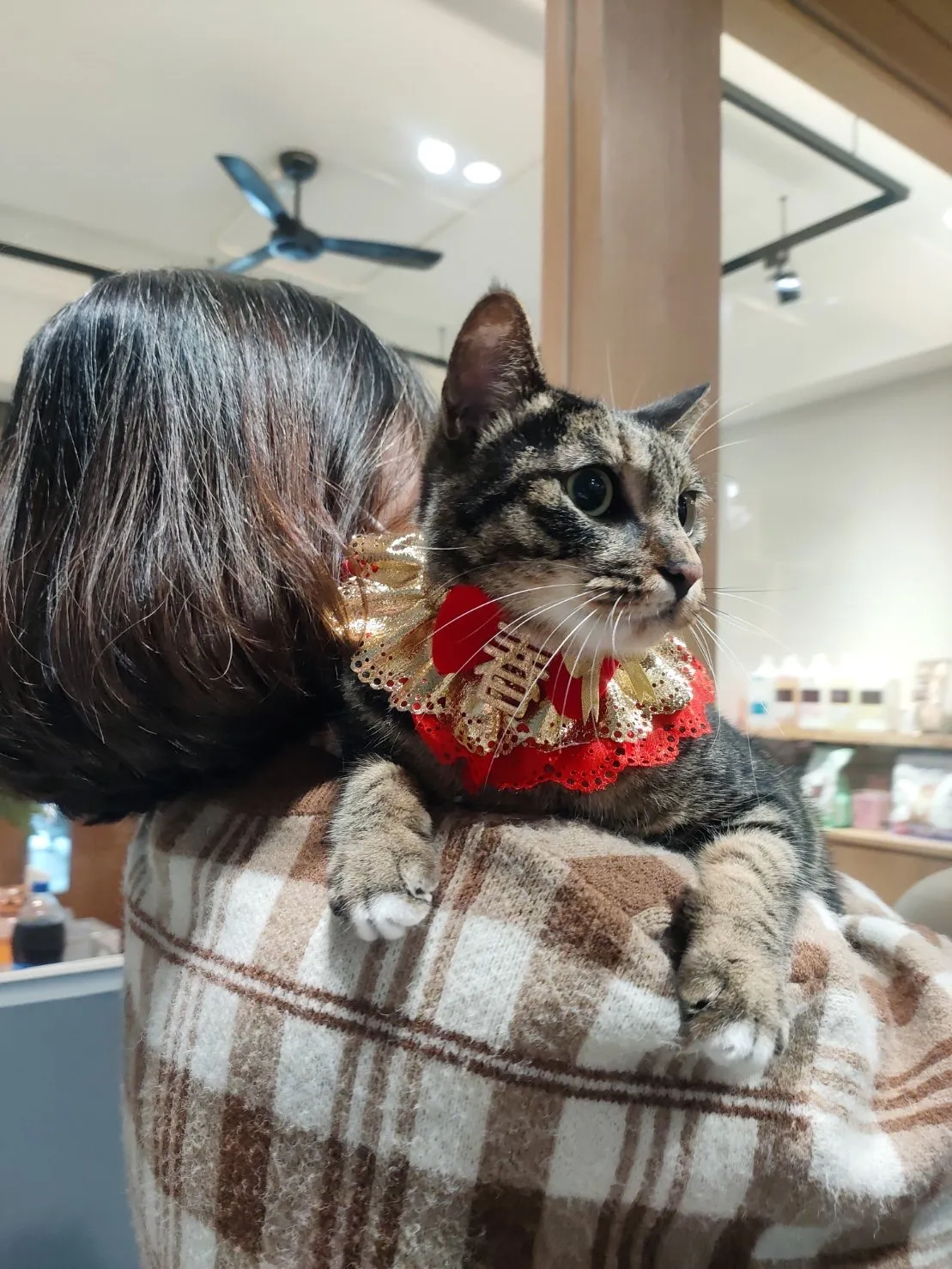 荷雅寵物美容沙龍