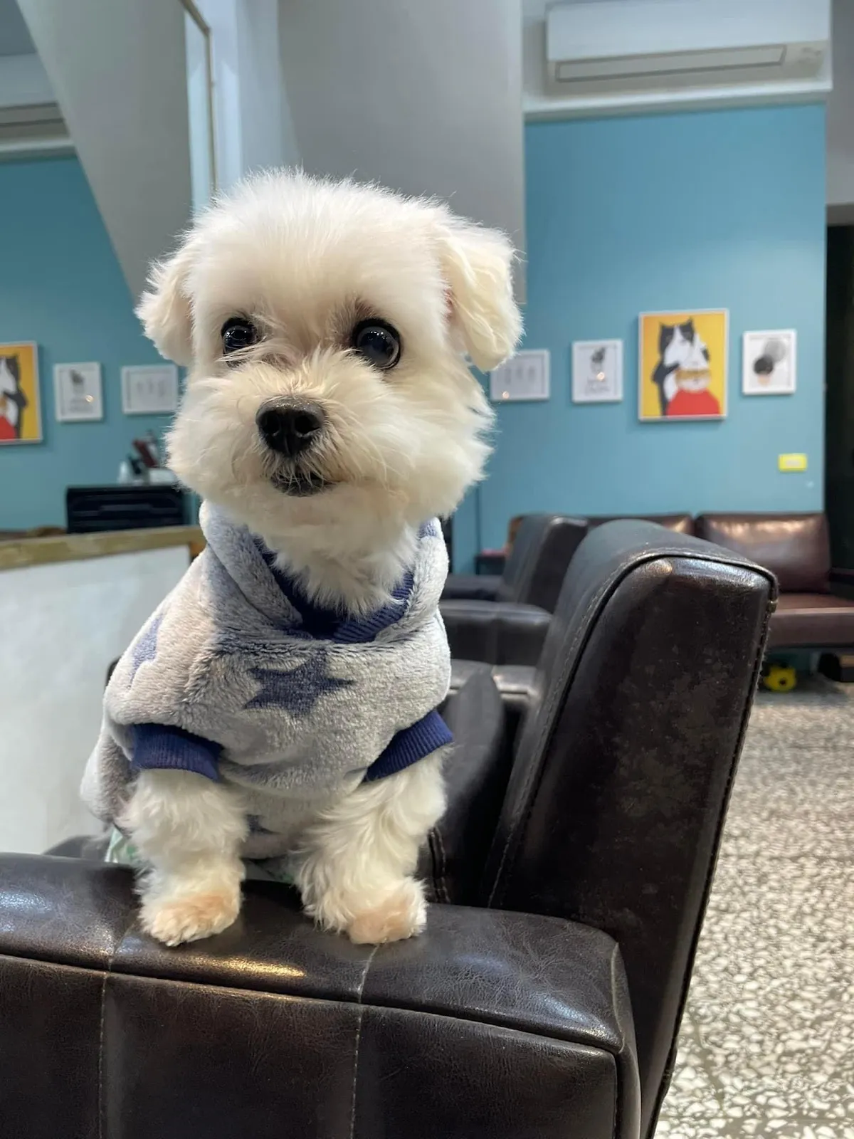 寵腳印寵物旅館