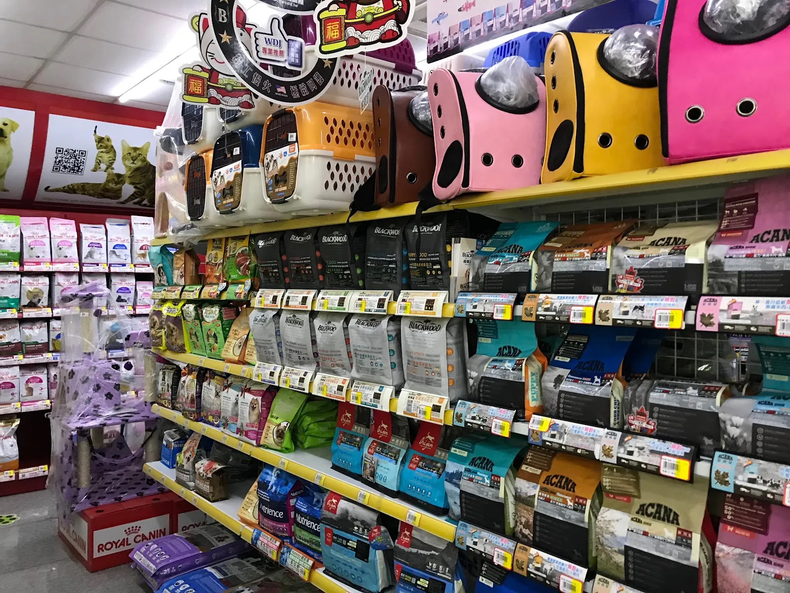 寵物王朝有限公司岡山分公司