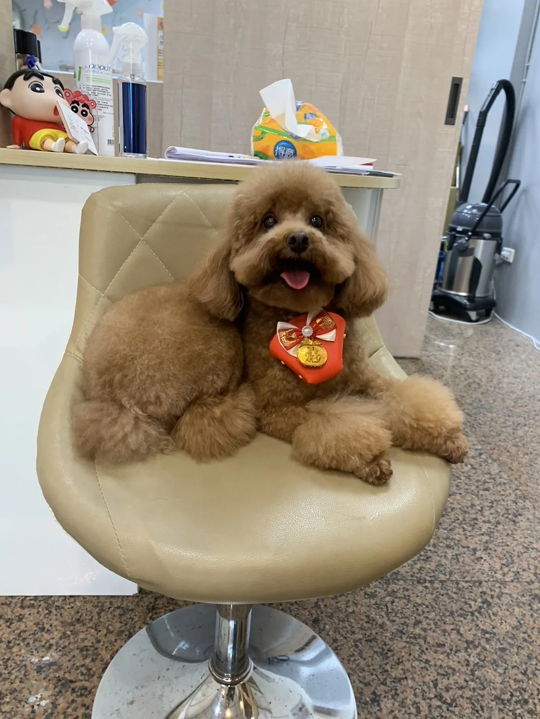寵牠寵物沙龍