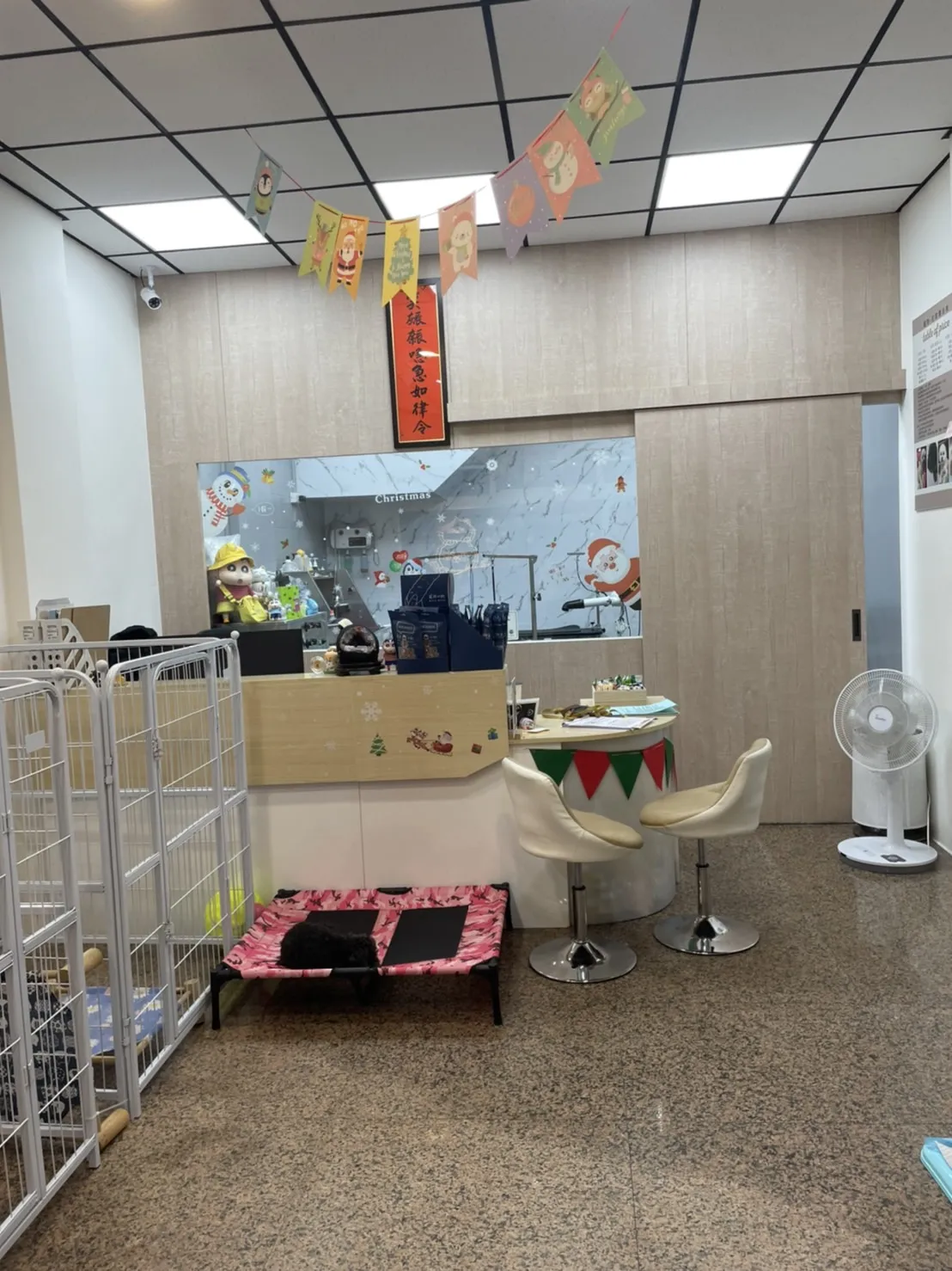 寵牠寵物沙龍