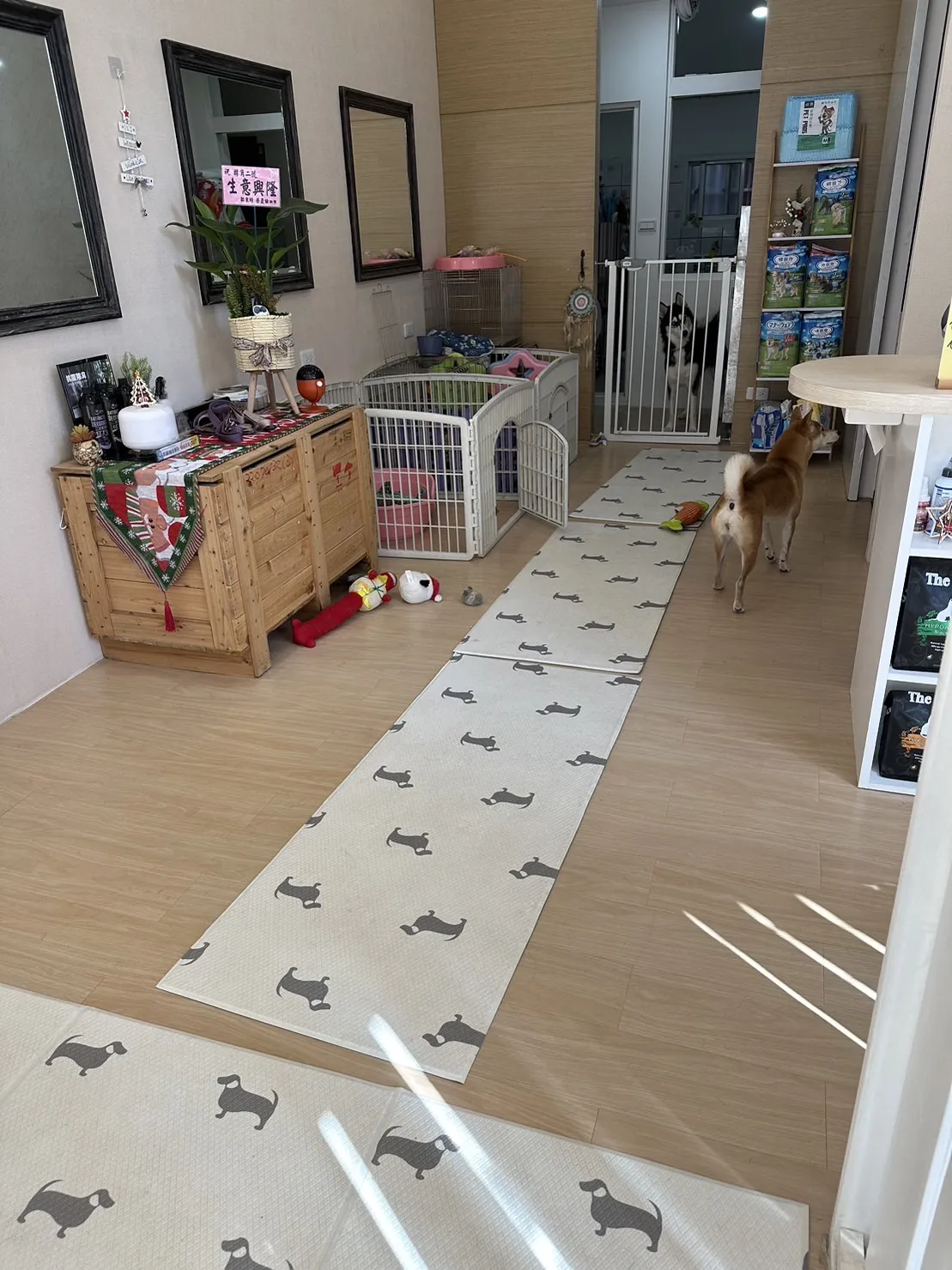 轉角二號寵物小棧