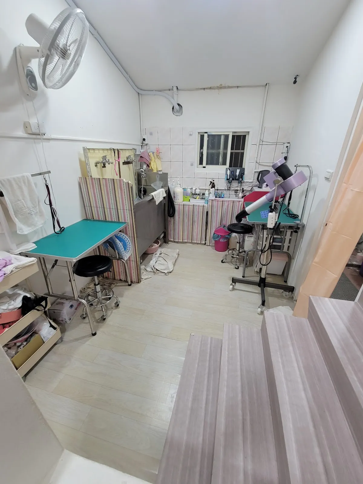 轉角二號寵物小棧