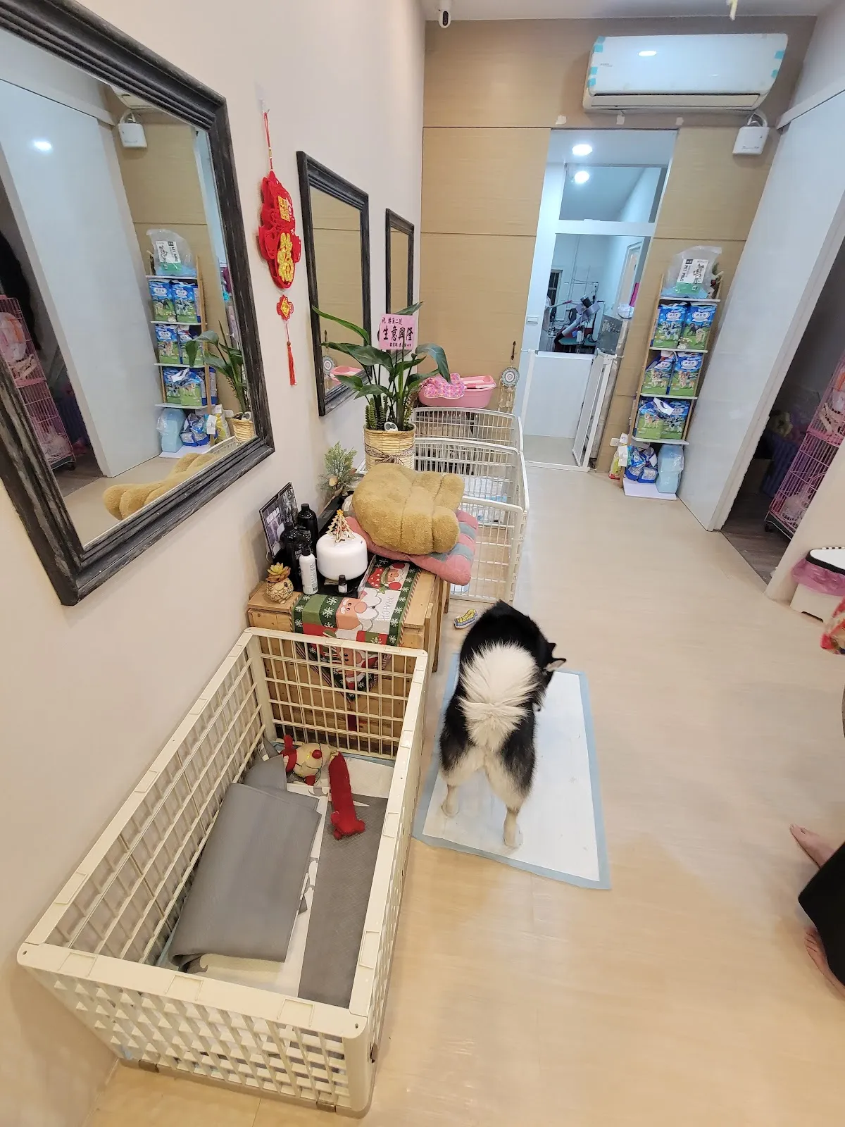 轉角二號寵物小棧