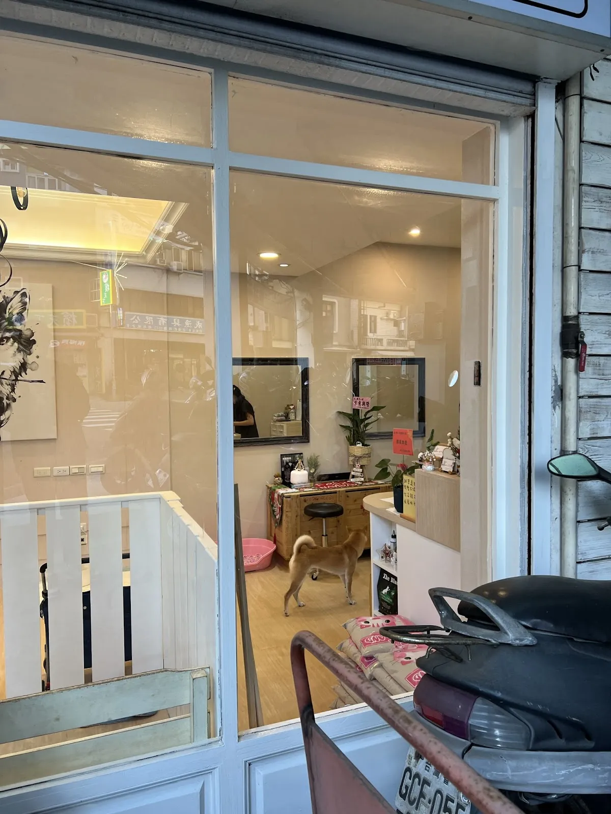 轉角二號寵物小棧