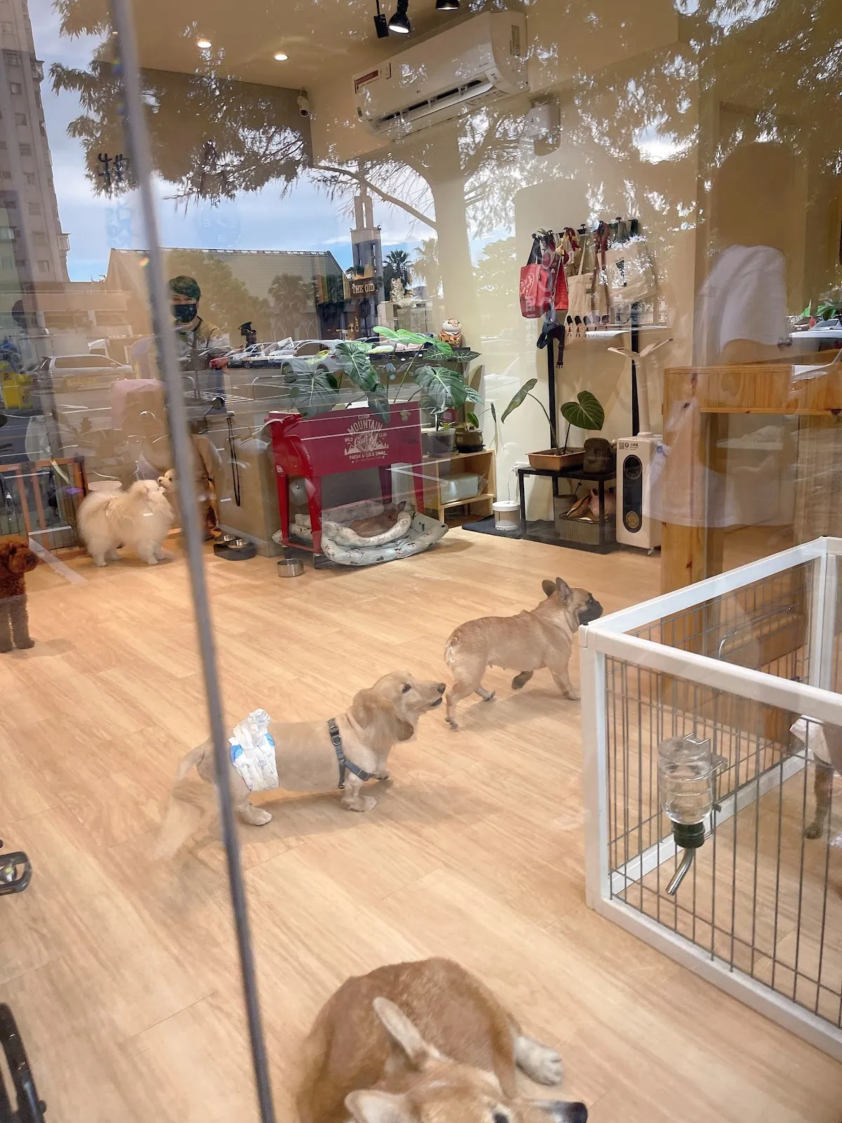 牠說寵物生活館