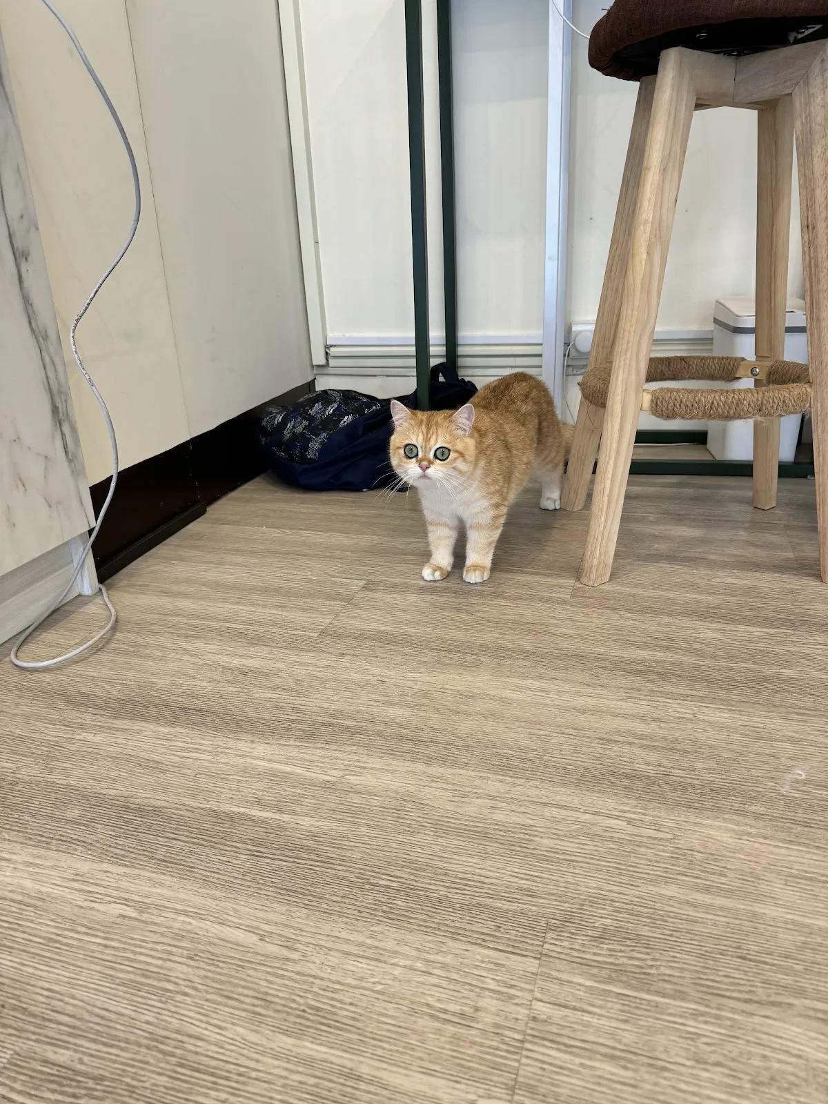 庫柏帝緬因商行