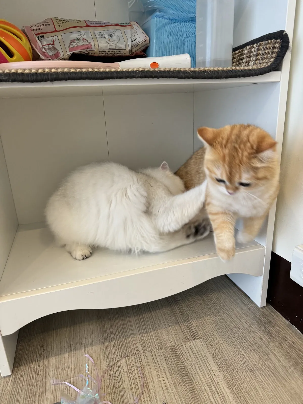 庫柏帝緬因商行