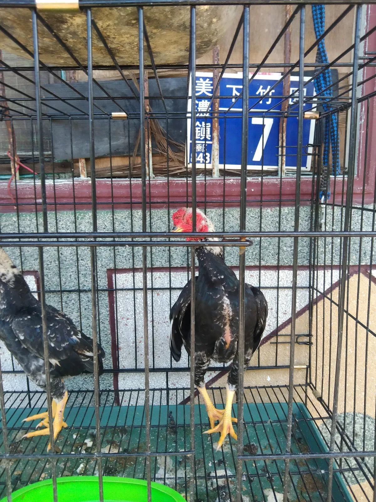 漂亮寶貝動物用品社